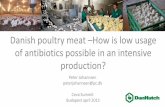 Danish poultry meat –How is low usage of antibiotics ... · of antibiotics possible in an intensive production? Peter Johannsen peterjohannsen@pc.dk Ceva Summit ... Infektiøs Bronkitis,
