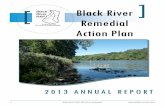 Black River Remedial Action Plan Black River RAP Annual... · RAP - Remedial Action Plan: a requirement of the Great Lakes Water Quality Agreement to restore and protect ... or UI,