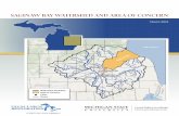 Saginaw Bay waterShed and area of ConCern - canr.msu.edu · provinces to restore the chemical, physical, and biologi-cal integrity of the Great Lakes. 1978: Revised Great Lakes Water
