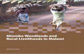 Miombo Woodlands and - Center for International Forestry ... · Miombo Woodlands and Rural Livelihoods in Malawi ... Design and layout by Eko Prianto and Catur Wahyu Published by