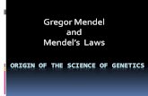 Gregor Mendel and - Rocoscience · 1/2/2013 · Discuss the work of Gregor Mendel 2. State the Law of Segregation 3. State the Law of Independent Assortment 4. Complete Dihybrid crosses