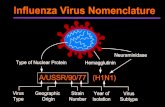 PowerPoint Presentation influenza.pdf · pandemic influenza vaccines • Generate 2 or 3 candidate vaccines against influenza A viruses of each subtype • In vitro phenotypes: ts