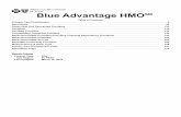Blue Advantage HMO - Blue Cross Blue Shield of Texas · 2019-03-01 · Blue Advantage HMO Table of Contents Search Criteria Product Type: BAV Sub Region: EL PASO Last Updated: March