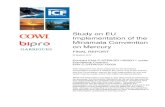 Study on EU - European Commissionec.europa.eu/environment/chemicals/mercury/pdf/Minamata...Study on EU Implementation of the Minamata Convention on Mercury FINAL REPORT 30 MARCH 2015