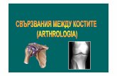 Arthrologia dentalna SD - anatomy.plcnet.organatomy.plcnet.org/files/Lectures/Dentalna_1/esen_2012/Arthrologia... · Класификация на ставите (продълж.)Според