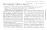 CellularPharmacologyofProteinKinaseM (PKM withIts inVitro ...newtonlab.ucsd.edu/documents/Wu-Zhangetal.2012.pdf · CellularPharmacologyofProteinKinaseM (PKM )Contrasts withItsinVitroProfile