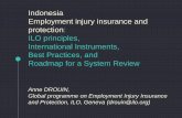 Indonesia Employment injury insurance and protection: ILO ... · Indonesia Employment injury insurance and protection: ILO principles, International Instruments, Best Practices, and