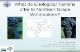 What do Enological Tannins offer to Northern Grape Winemakers?northerngrapesproject.org/wp-content/uploads/2013/02/M.Dharmadhi... · What do Enological Tannins offer to Northern Grape