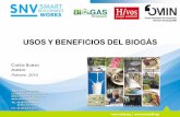 USOS Y BENEFICIOS DEL BIOGÁS - Biogás | Energia para ...programabiogasnicaragua.org/wp-content/uploads/2014/09/Biogas-Usos... · Bolivia Chile Colombia Ecuador El Salvador Indonesia