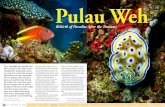 Pulau Weh - Rebirth of Paradise After the ... - X-Ray Magazine · Pulau Weh in Aceh, Indonesia. All of a sudden, they heard a loud and painful noise forcing all of them to cover their