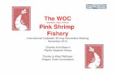 The WOC Pink Shrimp Fishery - rafisklaget.no · The WOC Shrimp Fishery (Washington, Oregon, California) 5 ... Newport, Oregon Bandon, Oregon Eureka, California 2 Minor ports Garibaldi,