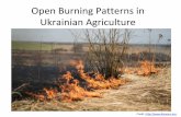 Open Burning Patterns in Ukrainian Agricultureukraineopenburning.org/wp-content/uploads/2017/10/Ukraine_Open...black carbon emissions, agricultural & food security, land-use/land-cover