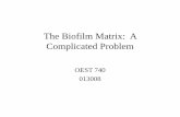 The Biofilm Matrix - University of Hawaiimcooney/oest740/Biofilm_Matrix_ppt.pdf · Outline • Underlying complications in predicting biofilm structure • Heterogeneity of structure