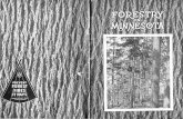 Forestry in Minnesota - Minnesota Department of Natural Resourcesfiles.dnr.state.mn.us/.../documents/forestryInMinnesota-1929.pdf · BalsaJ11 , Ioplar and birch were mixed in every