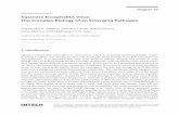 Japanese Encephalitis Virus: The Complex Biology of an ...cdn.intechopen.com/pdfs/41732/InTech-Japanese_encephalitis_virus... · Japanese Encephalitis Virus: The Complex Biology of