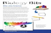 Ask A Biologist - Biology Bits - Seeing Color & Isometrik - via Wikimedia Commons • Electromagnetic and visible spectrum YassineMrabet- via Wikimedia Commons • Lightbulb The inner