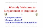 Warmly Welcome to Department of Anatomy!fdjpkc.fudan.edu.cn/_upload/article/files/3c/f2/fc9e6a214445ad8f... · Arthrology - joints As axis Myology - muscles As motivation Introduction-constitution