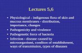Lectures 5,6 - Comenius University · Lectures 5,6 • Physiological - indigenous flora of skin and mucous membranes - distribution, importance, changes ... • Failling of splashing