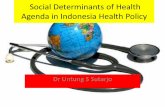 Social Determinants of Health Agenda in Indonesia Health ...kebijakankesehatanindonesia.net/images/2012/20_2/presentasi UGM.pdf · the social determinants of health ... Prioritizing