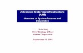 Advanced Metering Infrastructure (AMI) - Smart grid · Advanced Metering Infrastructure (AMI) Dispatchable Rates 6.5 Customer Usage Profiles Functional Capability Average Expected