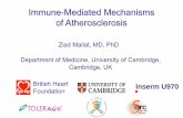Immune-MediatedMechanisms of Atherosclerosis · Immune-MediatedMechanisms of Atherosclerosis Ziad Mallat, MD, PhD Departmentof Medicine, Universityof Cambridge, Cambridge, UK Inserm