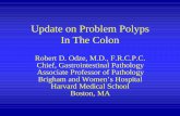 Update on Problem Polyps In The Colon - conganat.org · Update on Problem Polyps In The Colon Robert D. Odze, M.D., F.R.C.P.C. ... Increased LP inflam (mono)* Uncommon ... Dysplasia/CA
