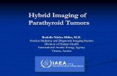 Hybrid Imaging of Parathyroid Tumors - Human Health Campus · Hybrid Imaging of Parathyroid Tumors Rodolfo Núñez Miller, M.D. Nuclear Medicine and Diagnostic Imaging Section Division