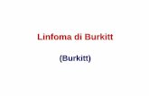 Linfoma di Burkitt (L-B) - Benvenuto su AMS Campus ...campus.unibo.it/81112/19/03_Burkitt.pdf · HIV-correlato:SNC, etc. Buona risposta in età pediatrica con terapie aggressive.