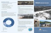 Nickel in British Columbia - cmscontent.nrs.gov.bc.cacmscontent.nrs.gov.bc.ca/geoscience/PublicationCatalogue/... · Total ore resource: 865 Mt at 0.21% Ni and 0.014% Co in ... Tel: