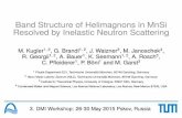 Band Structure of Helimagnons in MnSi Resolved by ... · Band Structure of Helimagnons in MnSi Resolved by Inelastic Neutron Scattering M. Kugler1, 2, G. Brandl1, 2, J. Waizner3,