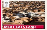 2011 - WWF Deutschland · 2011 STUDY Eating habits Meat consumption Land consumption MEAT EATS LAND. Imprint ... 5.2 Agricultural foreign trade and virtual land trade by the EU and
