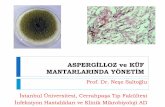 ASPERGİLLOZ ve KÜF MANTARLARINDA YÖNETİM°LLOZ... · Invasive Aspergillosis in an Animal Model.J Clin Microbiol 2016 Apr;54(4):960-6. ... Farmakokinetik değişiklikler, ilaç-ilaç