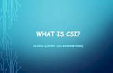 What is CSI? - filecabinet11.eschoolview.com · PARTICIPATING IN A CSI GROUP ... more confident when facing an obstacle. This group gave me a safe and reliable place to speak and