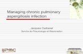 Managing chronic pulmonary aspergillosis infection · Pitt JI et al. Regnum vegetabile 1993, ... Summary Fungi (Ascomycetes) of the order of . Plectomycetes, the ... Managing chronic