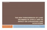 THE NEW PHENOMENON OF LAND GRABBING IN AFRICA … · THE NEW PHENOMENON OF LAND GRABBING IN AFRICA AND ITS IMPACT ON LIVELIHOODS AND ECOSYSTEMS ... Land grabbing by local elites,