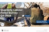 Quarterly Labour Force Survey Q3:2018 - statssa.gov.za · QLFS Q3:2018 2008 +65 000 q/q + 92 000 q/q + 127 000 q/q Other Not Economically Active Unemployed Employed ce-131 000 q/q