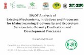 SWOT Analysis of Existing Mechanisms, Initiatives and ... fileSWOT Analysis of Existing Mechanisms, Initiatives and Processes for Mainstreaming Biodiversity and Ecosystem Services