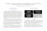 Diagnosing and Segmenting Brain Tumors and Phenotypes ...cs229.stanford.edu/proj2014/Samuel Teicher, Alexander Martinez... · Diagnosing and Segmenting Brain Tumors and Phenotypes