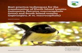 Petroica macrocephala toitoi) and South Island tomtits ... · Best practice techniques for the translocation of North Island tomtits (miromiro, Petroica macrocephala toitoi) and South