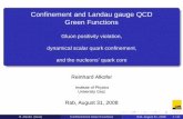 Conﬁnement and Landau gauge QCD Green Functionsdandroic/conferences/rab2008/pdf/1-Reinhard... · Conﬁnement and Landau gauge QCD Green Functions Gluon positivity violation, dynamical