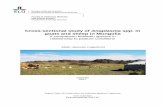 Cross-sectional study of Anaplasma spp. in goats and sheep ... lagerkvist_m_20170412.pdf · Cross-sectional study of Anaplasma spp. in goats and sheep in Mongolia: A comparison between