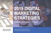 2019 DIGITAL MARKETING STRATEGIES - ascend2.comascend2.com/wp...2019-Digital-Marketing-Strategies-Report-181005.pdf · effective digital marketing strategy provides the plan of action