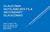 GLAUCOMA NUTS AND BOLTS & SECONDARY GLAUCOMAS … · GLAUCOMA NUTS AND BOLTS & SECONDARY GLAUCOMAS. TOPICS Glaucoma nuts and bolts Secondary Glaucoma Blood induced glaucoma ... GOLDMANN