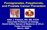 Pomegranates, Polyphenols, and Prostate Cancer Prevention 4-3 allan... · Pomegranates, Polyphenols, and Prostate Cancer Prevention Allan J. Pantuck, MD, MS, FACS Associate Professor