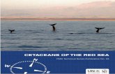 Cetaceans of the Red Sea - CMS Technical Series ... · as climate change, chemical and noise pollution, disturbance of critical habitat and direct killings. I am delighted that Giuseppe’s