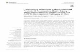 C1q/Tumor Necrosis Factor-Related Protein-3 Attenuates Brain … · ORIGINAL RESEARCH published: 19 October 2016 doi: 10.3389/fncel.2016.00237 C1q/Tumor Necrosis Factor-Related Protein-3