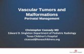 Vascular Tumors and Malformations - pedrad.org · xxx00.#####.ppt 12/4/2012 3:05:55 PM Vascular Lesion Management Diagnostic Options Congenital Vascular Neoplasms CONGENITAL HEMANGIOMA