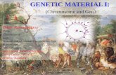 GENETIC MATERIAL I - gatotciptadi.lecture.ub.ac.id · SPZ + Ovum Sigot mitosis : 2,4, 32 sel dsr (1/2 sel) (1/2 sel) (1 sel) G: Pengaruh ... saat terjadinya fertilisasi/pembelahan