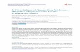 In Vitro Culture of Plasmodium falciparum: Obtention of ...file.scirp.org/pdf/OJEpi_2015022714451222.pdf · Malaria is caused by five species of parasites belonging to the genus Plasmodium.