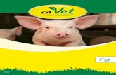 Metabolism - cdvet.iecdvet.ie/brochures/Pig.pdfCORTISONE FEED ADDITIVES C F F A F A A A F F F C C CA C C A A The central organ for these processes is the liver. It is fulfilling its